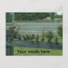 Zeige die Vögel auf einer Schiene Deine Worte Post Postkarte