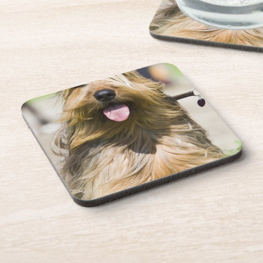 Zeigen der Zunge, langes Haar, Porträt Getränkeuntersetzer (Linke Seite)