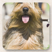 Zeigen der Zunge, langes Haar, Porträt Getränkeuntersetzer (Vorderseite)