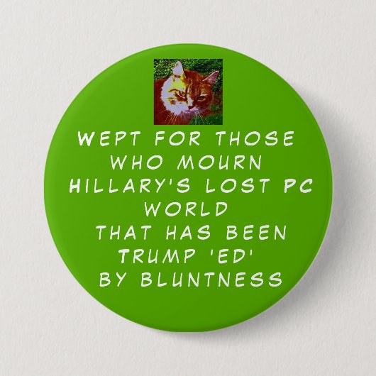 Zeigen Sie Hillarys Blicke, die Sie für ihren Button (Vorderseite)