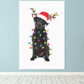 Zeigen Sie Ihre Liebe für Cincinnati baseball und  Leinwanddruck (Insitu (Holzboden))