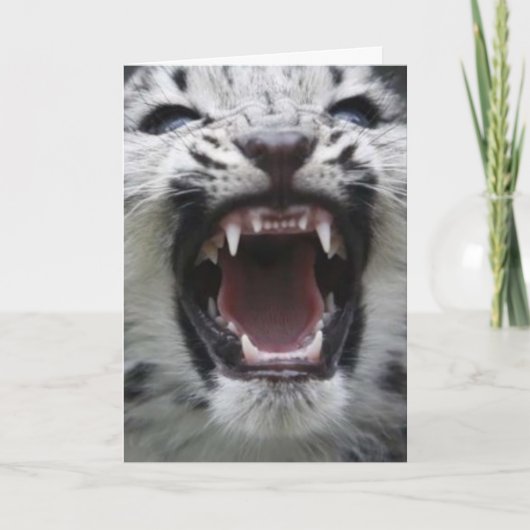 zeigen Sie Ihre Zähne Karte (Vorderseite)