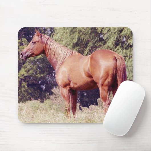 Zeigen Sie Pferd Mousepad (Mit Mouse)