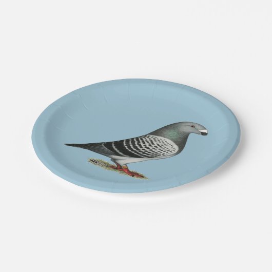 Zeigen Sie Racer blaue Schachbrett-Taube Pappteller (Schrägansicht)