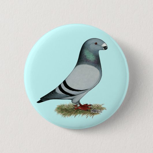 Zeigen Sie Rennläufer-Konzept Button (Vorderseite)