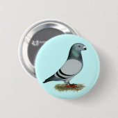 Zeigen Sie Rennläufer-Konzept Button (Vorne & Hinten)