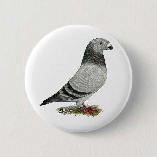 Zeigen Sie RennläuferGrizzle Button (Vorderseite)