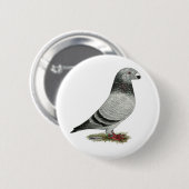 Zeigen Sie RennläuferGrizzle Button (Vorne & Hinten)