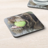 Zeigerhundebeißender Tennisball, Nahaufnahme Getränkeuntersetzer (Linke Seite)