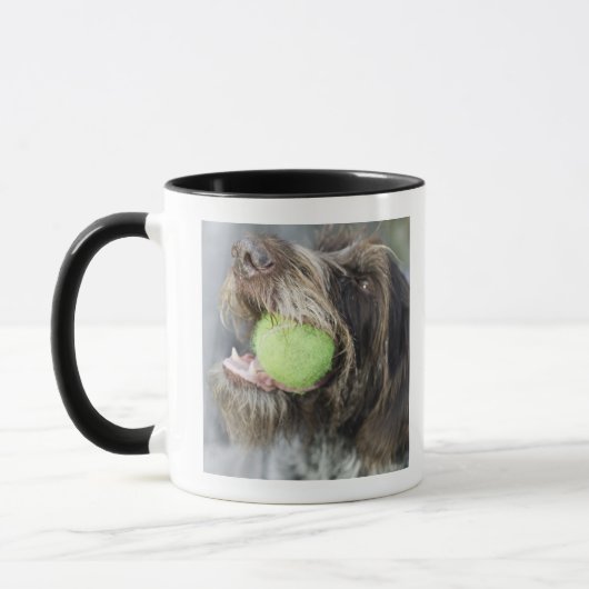 Zeigerhundebeißender Tennisball, Nahaufnahme Tasse (Links)