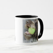 Zeigerhundebeißender Tennisball, Nahaufnahme Tasse (VorderseiteRechts)