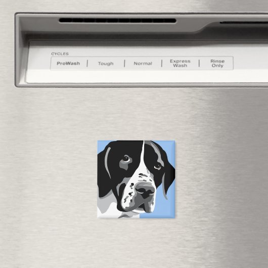 Zeigermagnete Magnet (In Situ (Geschirrspüler))