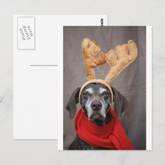 Zeigerreiniger Postkarte (Vorne/Hinten)