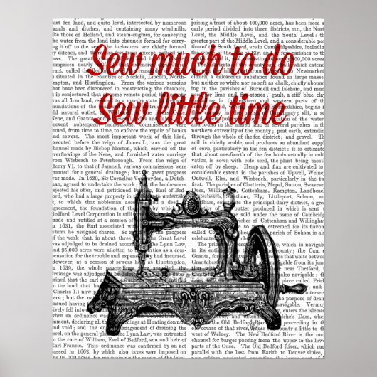 Zeigerscheinung Poster (Vorne)