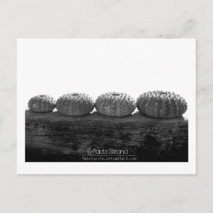 Zeile warten postkarte