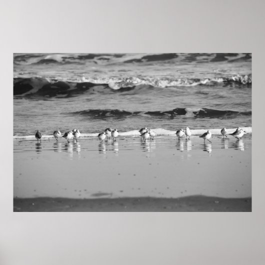 Zeilenende Poster (Vorne)