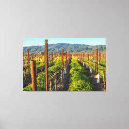 Zeit am Weinberg Leinwanddruck