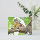 Zeit bis zum Karo auf der Postkarte (Stehend Vorderseite)