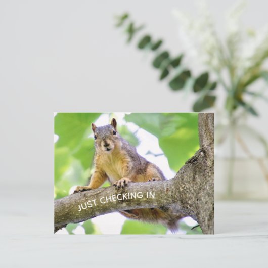 Zeit bis zum Karo auf der Postkarte (Stehend Vorderseite)