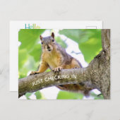 Zeit bis zum Karo auf der Postkarte (Vorne/Hinten)