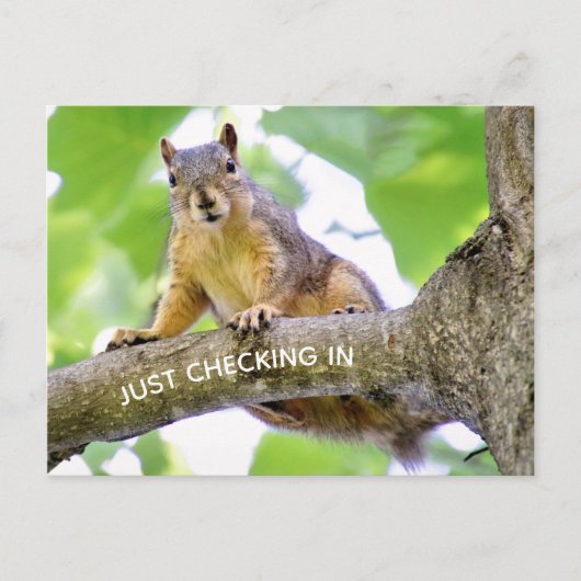 Zeit bis zum Karo auf der Postkarte (Vorderseite)