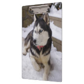 Zeit bis zur Erholung Klemmbrett (Links)