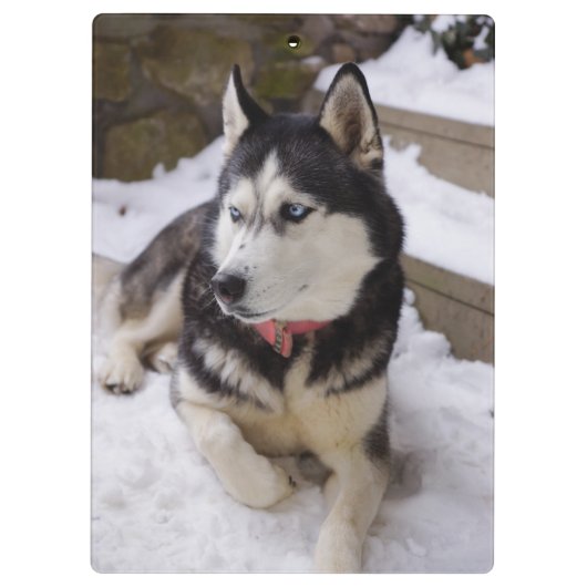 Zeit bis zur Erholung Klemmbrett (Rückseite)