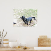 Zeit, den Hund zu Fuß zu gehen Poster (Küche)