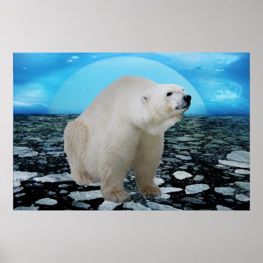 Zeit der Eisbären Poster (Vorne)
