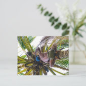 Zeit, die Kokosnüsse zu reinigen Postkarte (Stehend Vorderseite)