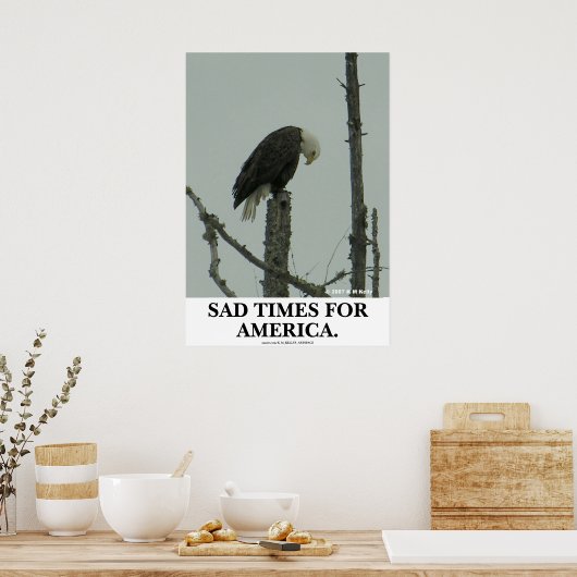 ZEIT FÜR AMERIKA. POSTER (Küche)