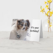 ZEIT FÜR CELEBRATE ***16*** SAGT SNOWBOUND PUP KARTE (Gelbe Blume)