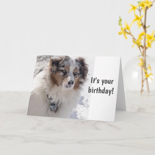 ZEIT FÜR CELEBRATE ***16*** SAGT SNOWBOUND PUP KARTE (Gelbe Blume)