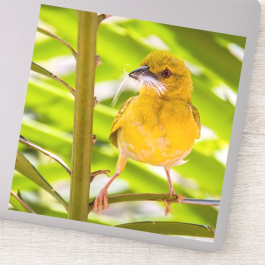 Zeit für den Bau des Nests Aufkleber (Detail)