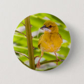 Zeit für den Bau des Nests Button (Vorderseite)