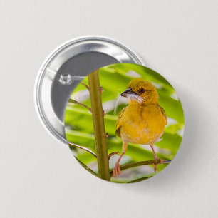 Zeit für den Bau des Nests Button