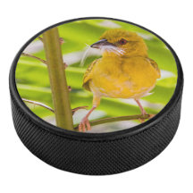 Zeit für den Bau des Nests