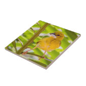 Zeit für den Bau des Nests Fliese (Seite)