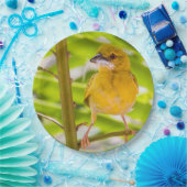 Zeit für den Bau des Nests Pappteller (Party)