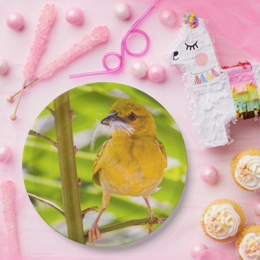 Zeit für den Bau des Nests Pappteller (Party)