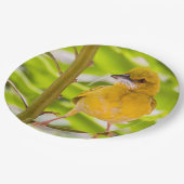 Zeit für den Bau des Nests Pappteller (Schrägansicht)