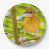 Zeit für den Bau des Nests Pappteller (Vorderseite)