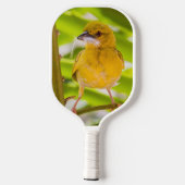 Zeit für den Bau des Nests Pickleball Schläger (Rückseite)