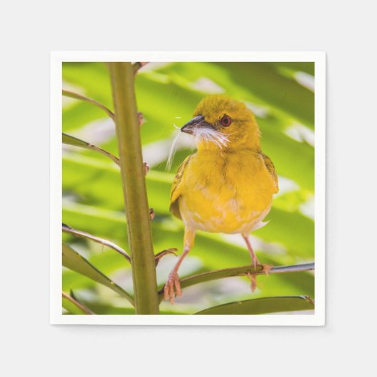 Zeit für den Bau des Nests Serviette (Vorderseite)