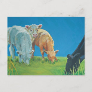 Zeit für einen Imbiss Postkarte