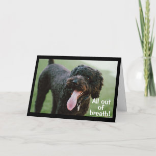 **ZEIT, IHREN 21. GEBURTSTAG ZU FEIERN** KARTE