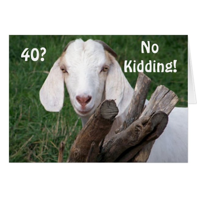 ZEIT-=KEINE KIDDIERUNG "40." (Vorderseite (Horizontal))