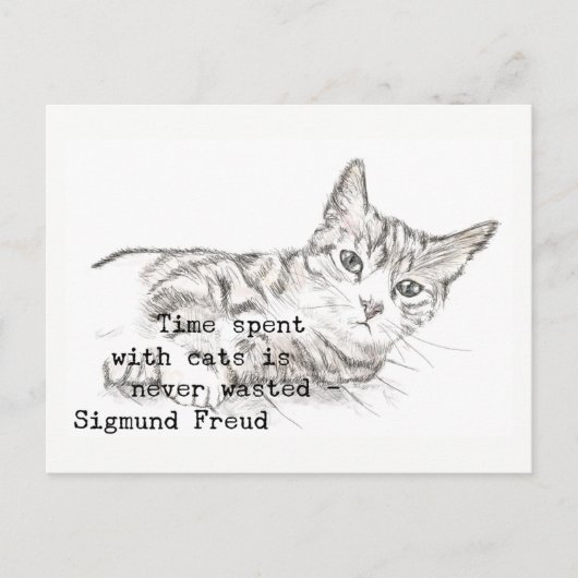 Zeit mit Katzen verbracht. . . Postkarte (Vorderseite)