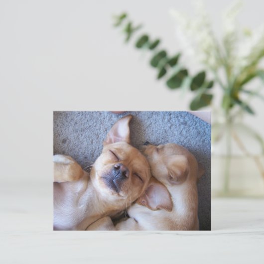 ZEIT POSTKARTE (Stehend Vorderseite)