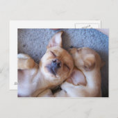 ZEIT POSTKARTE (Vorne/Hinten)